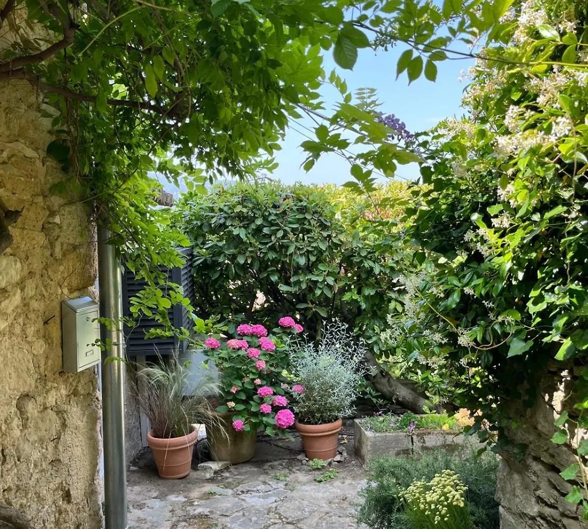 Chez Marthe - Maison De Village - Menerbes Centre Tatil Evi